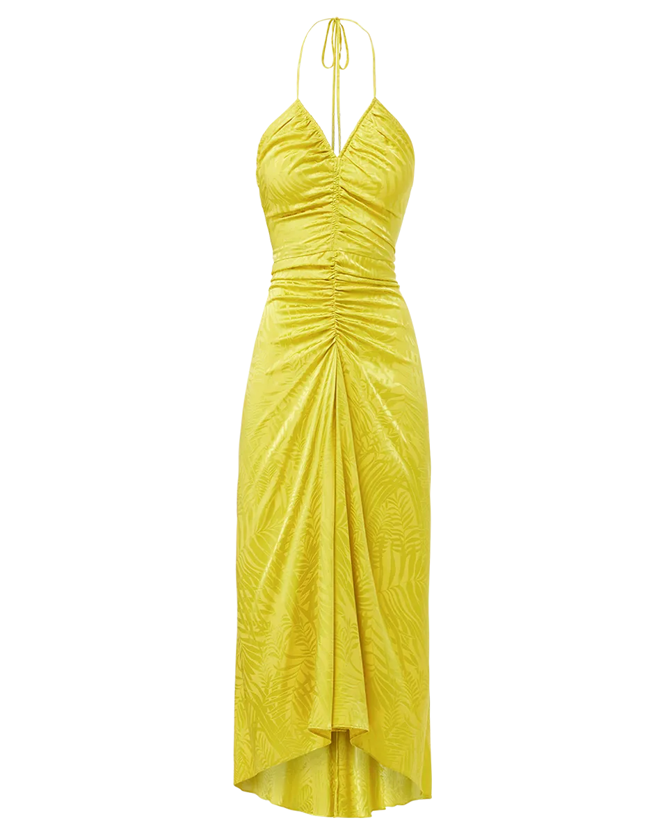 Aldana Stretch-Silk Dress