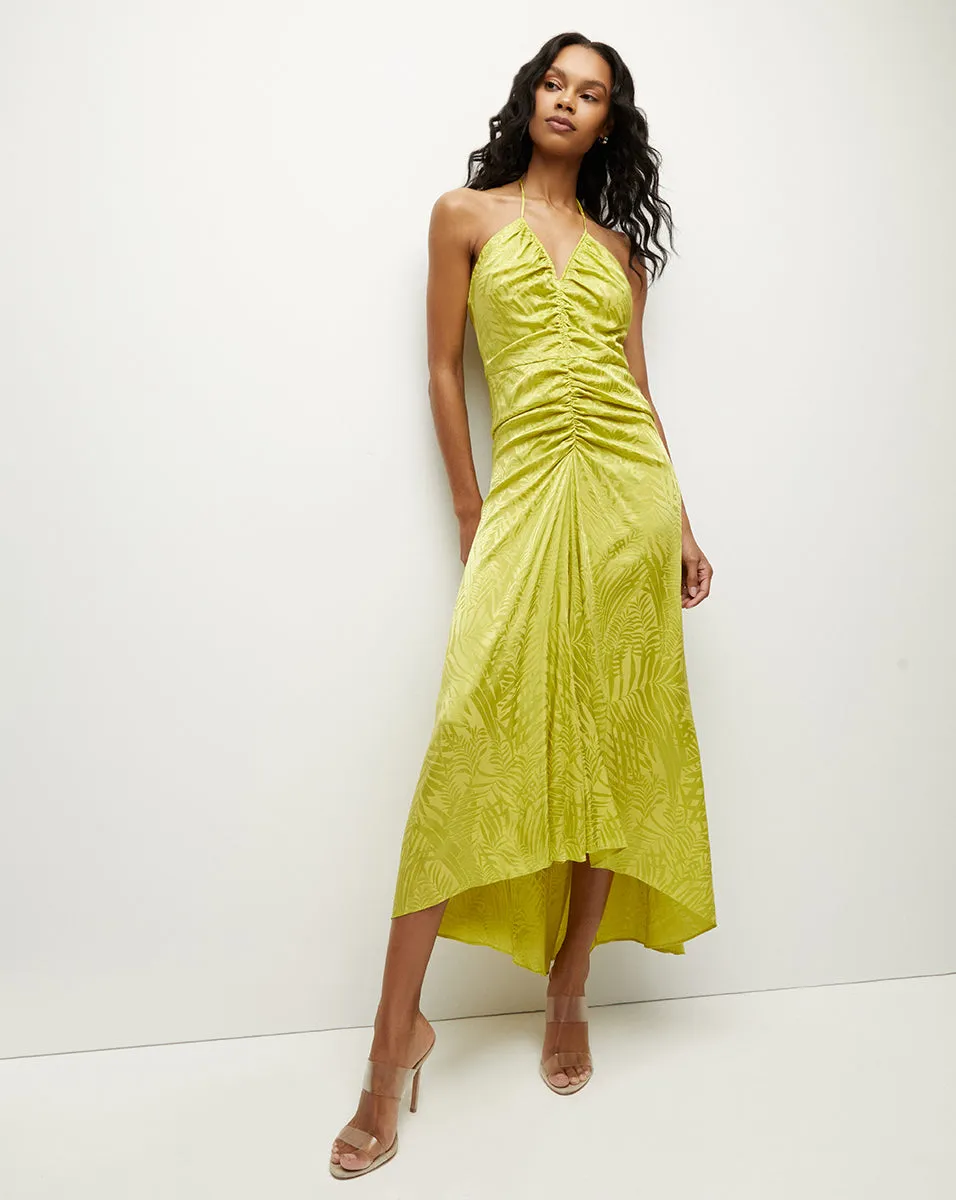 Aldana Stretch-Silk Dress