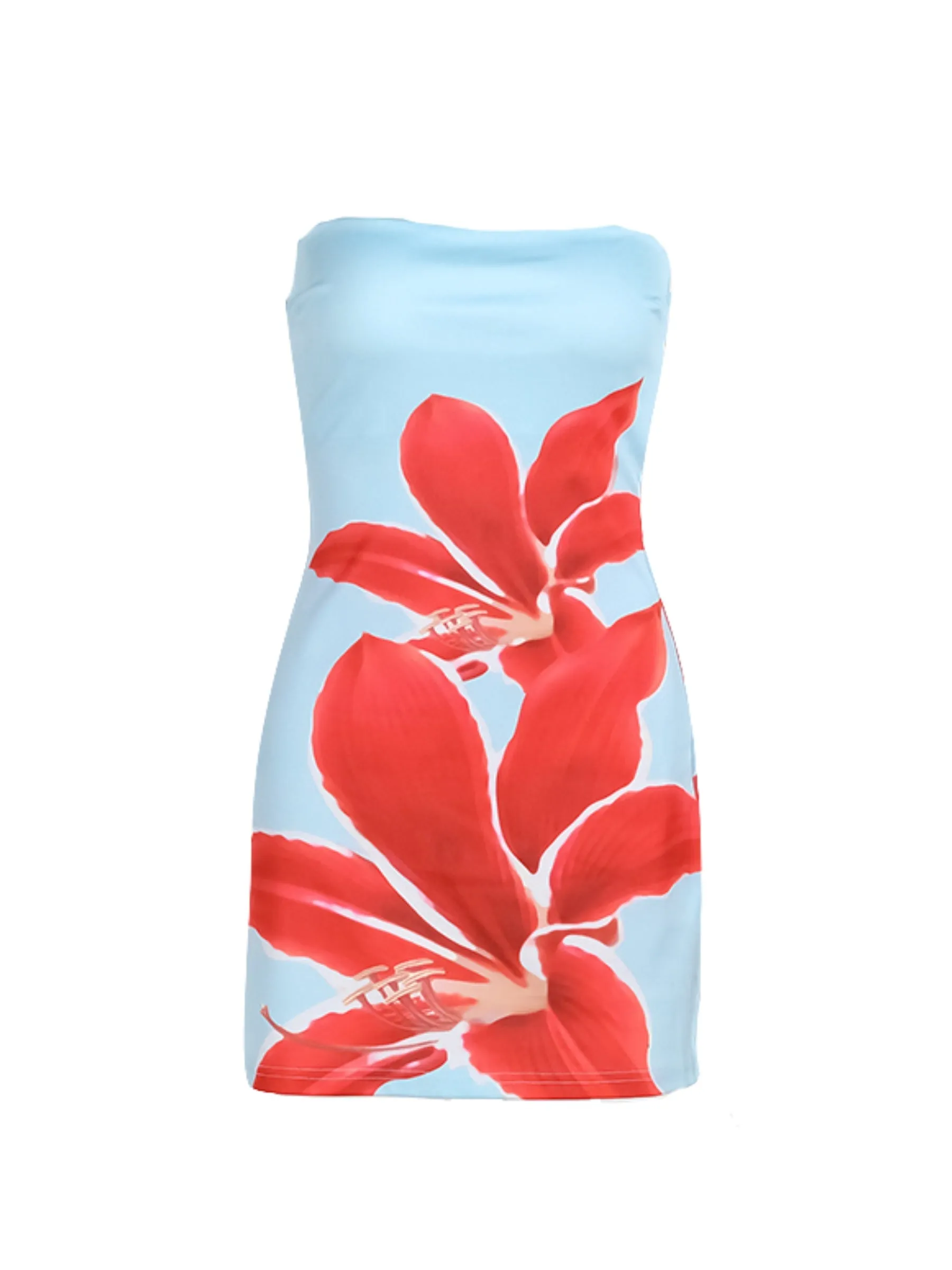 Amozae-Christmas Outfits New Year's Eve Dress Night Out Club Dresses cute winter outfits Gracen Large Floral Mini Dress