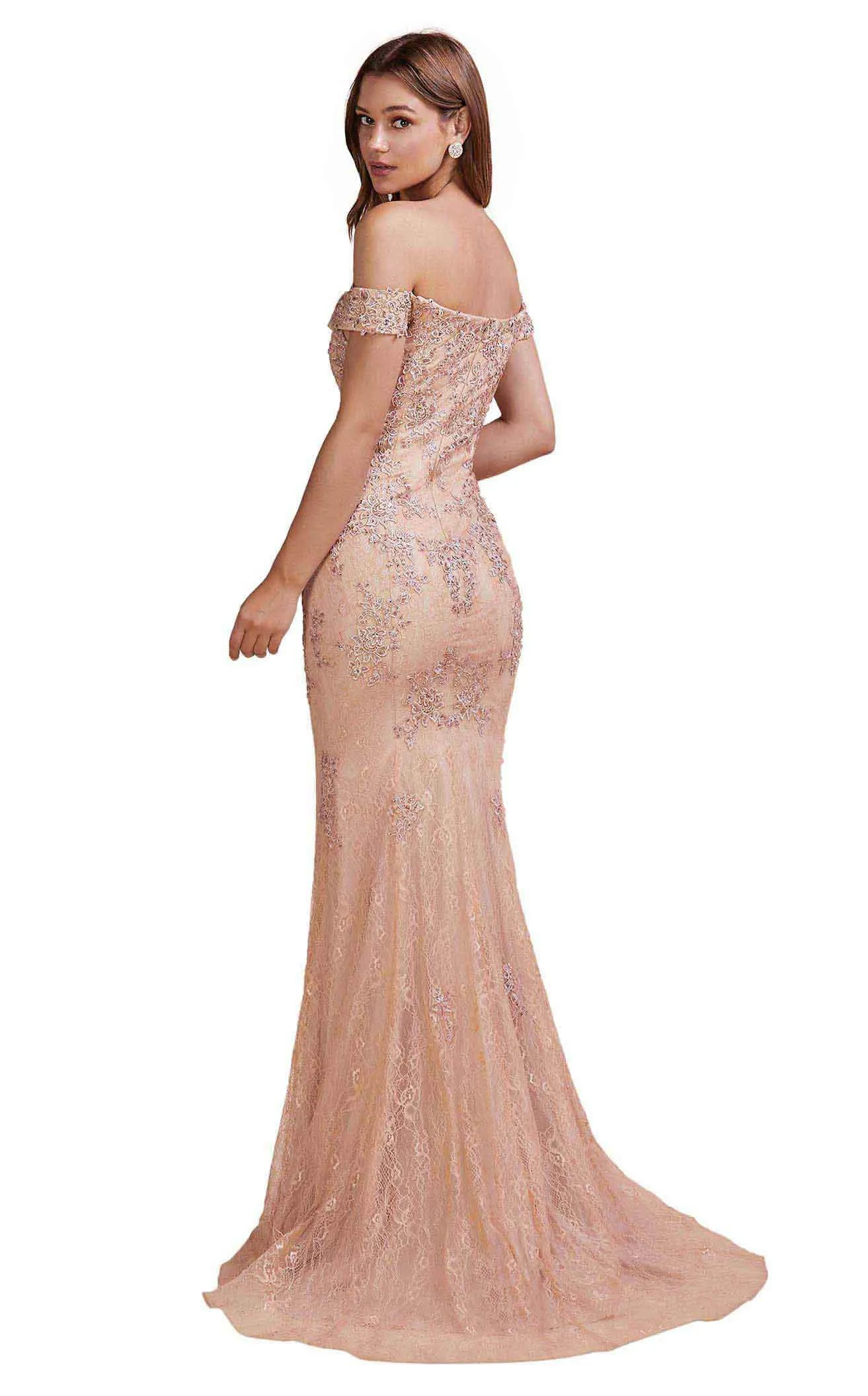 Andrea And Leo A0669 Dress