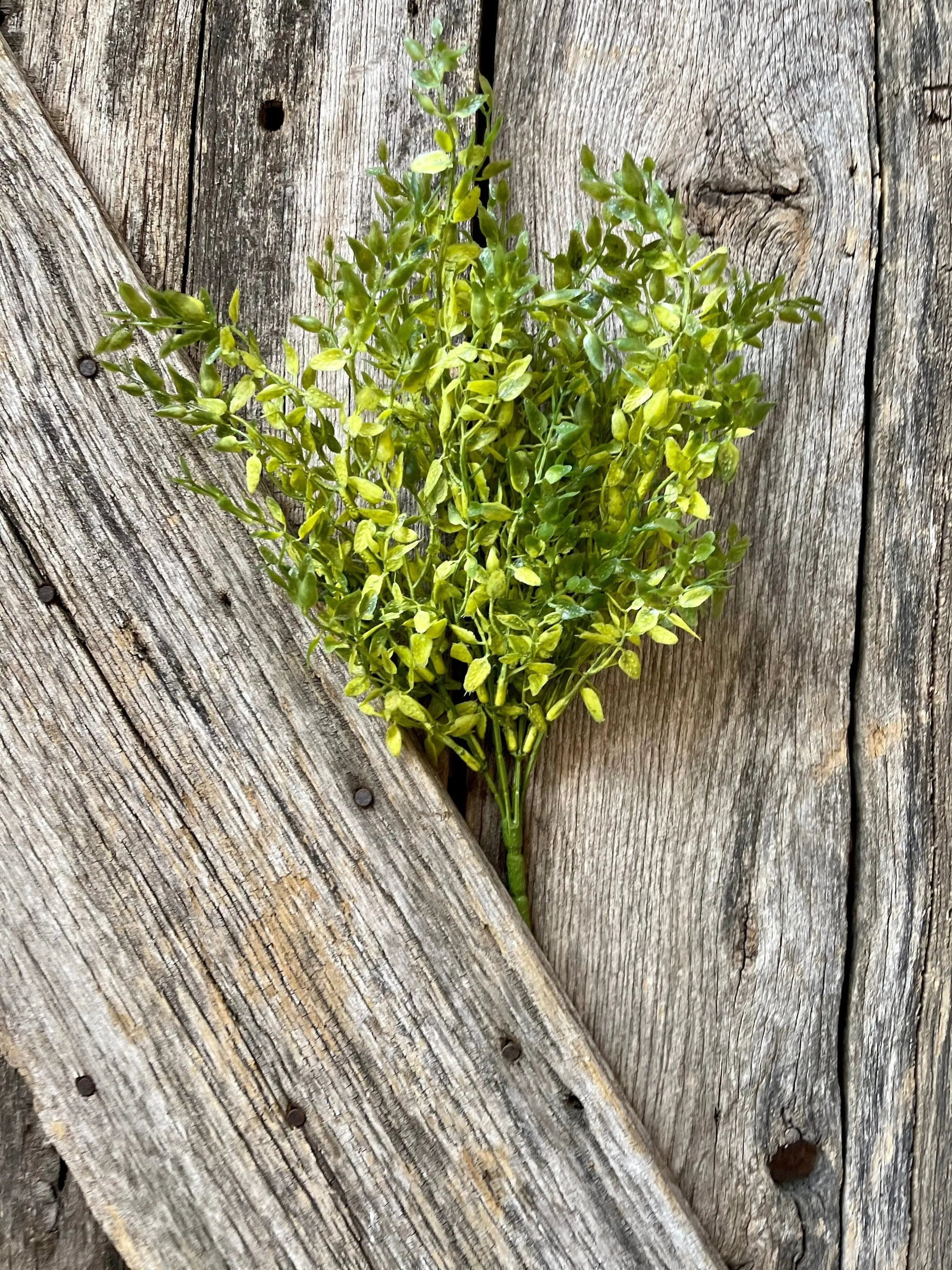 Lemon Beauty Bush, Wreath Greenery