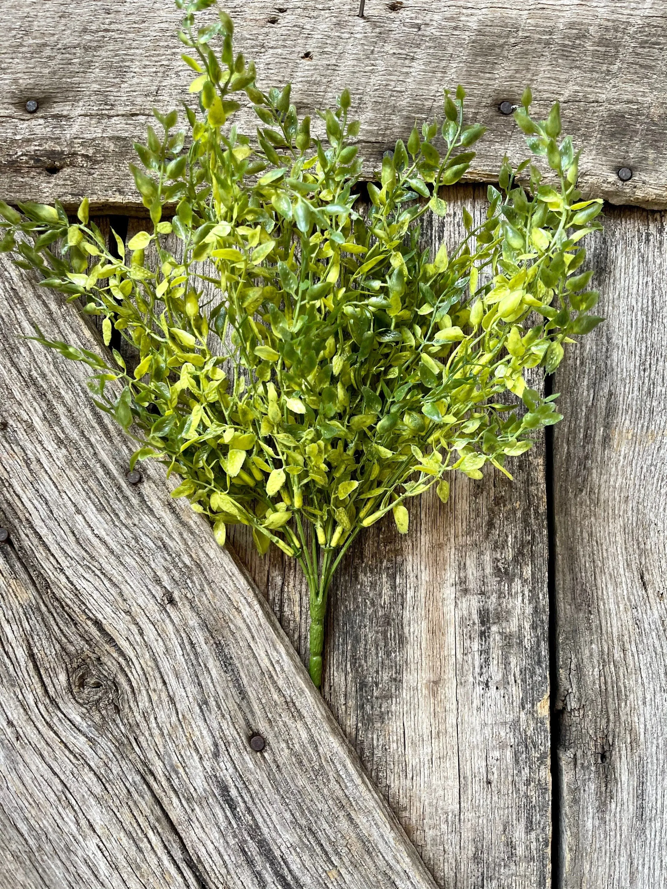 Lemon Beauty Bush, Wreath Greenery