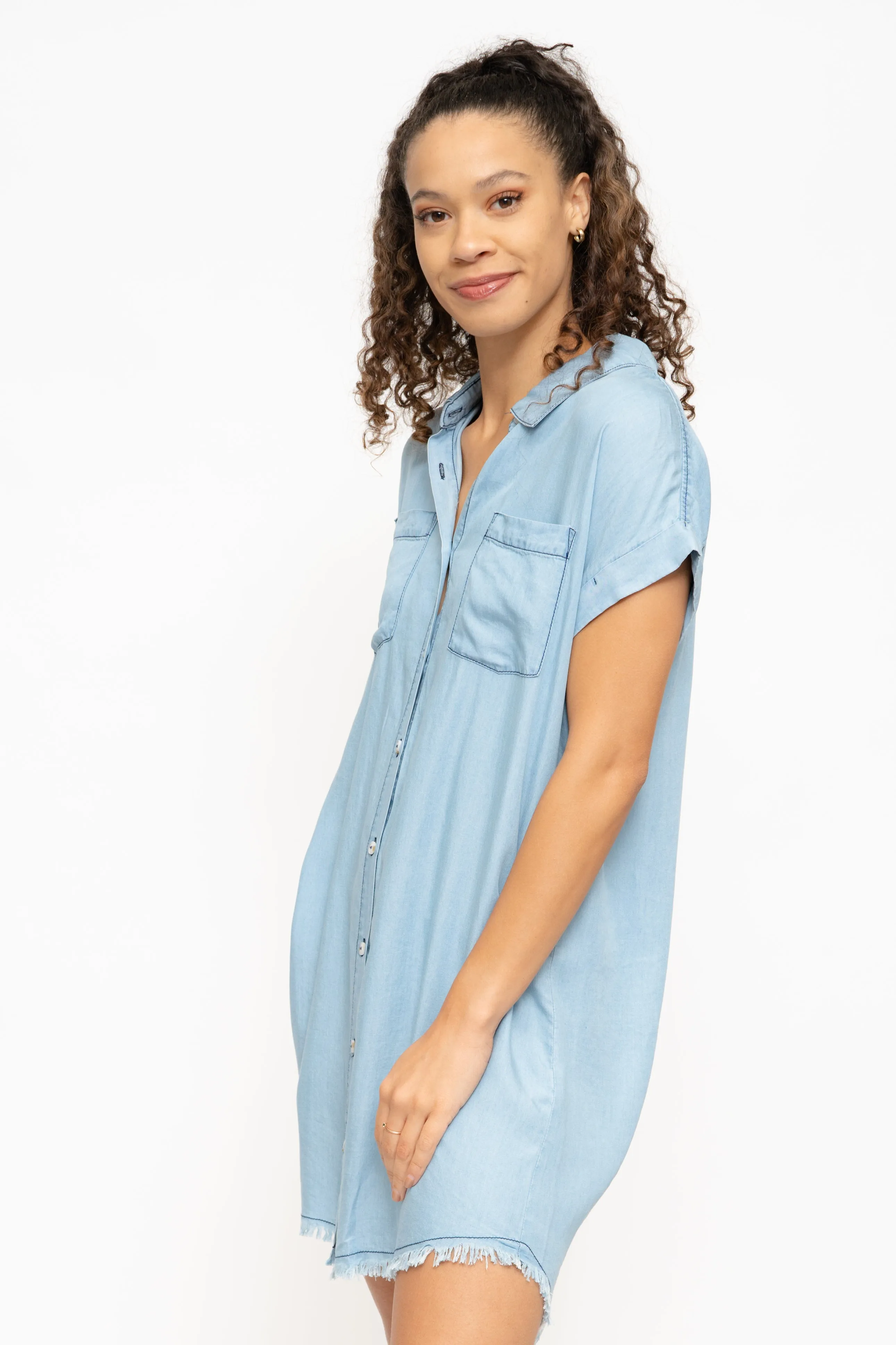 MONACO  POCKETED DENIM  DRESS